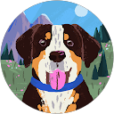 Mihir G profile picture